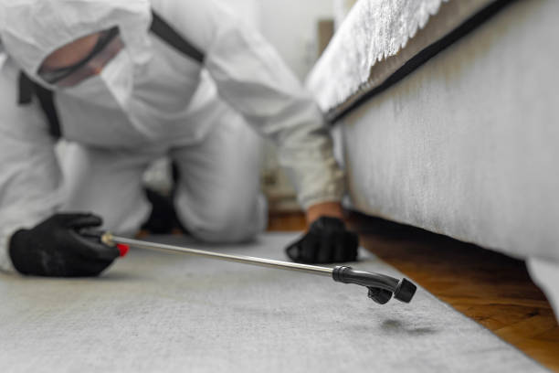 Professional Termite Control technician working in Taft Southwest, TX